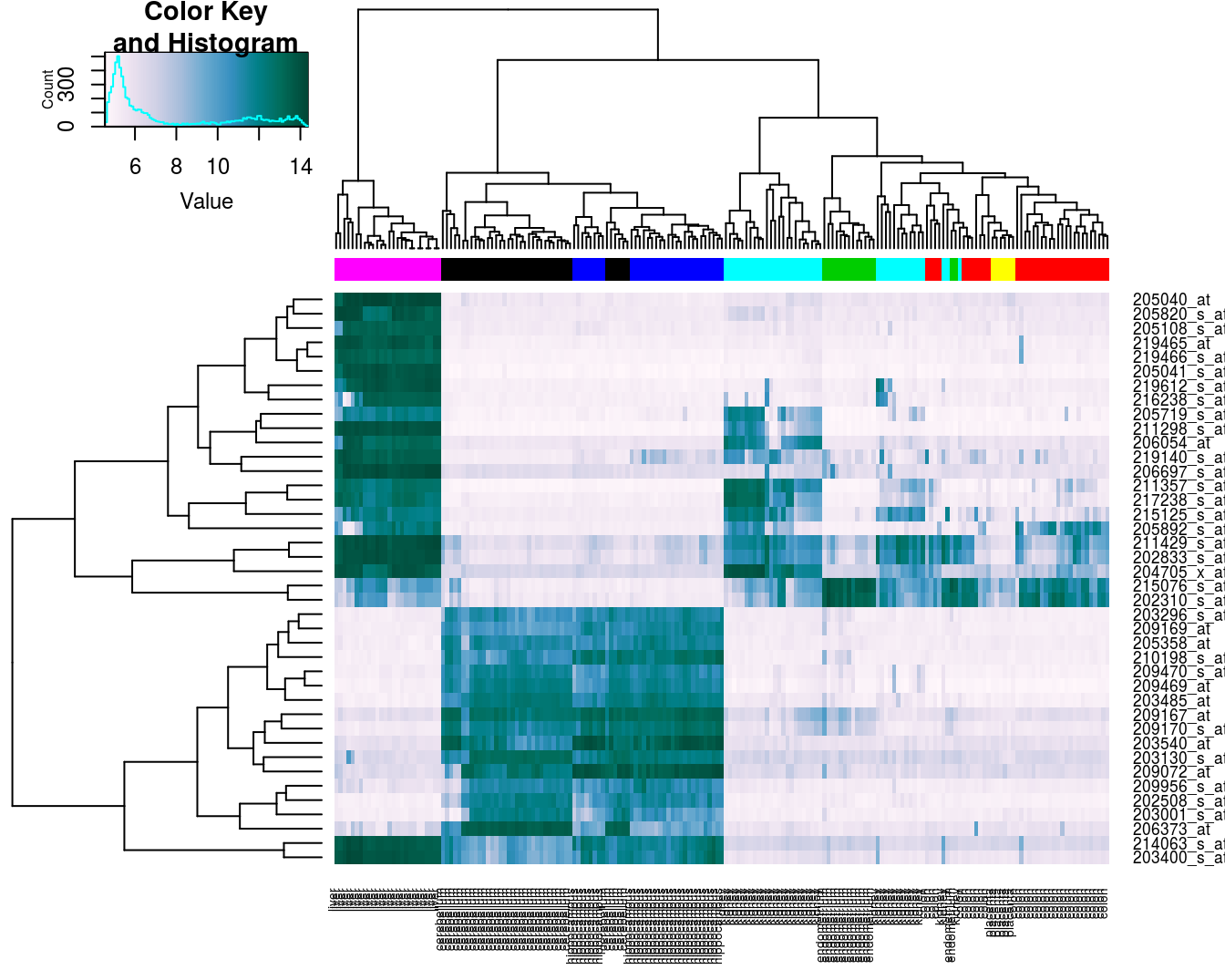 Heatmap of the expression of the 40 genes with the highest variance.