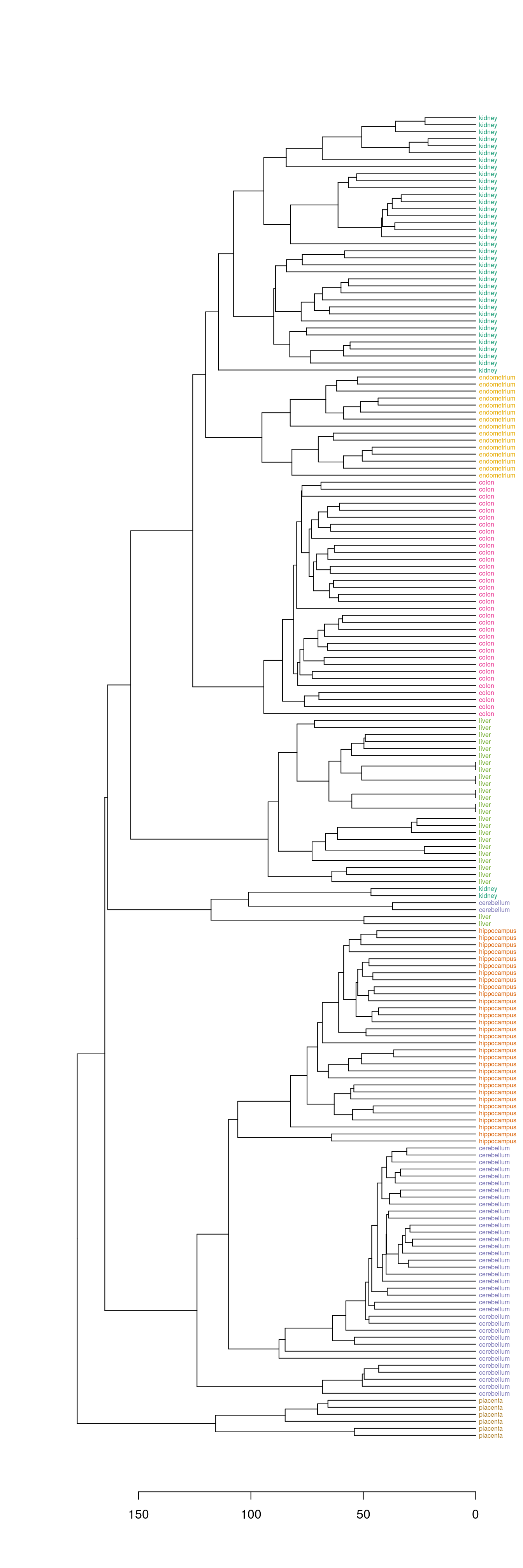 Clustering of tissue samples based on gene expression profiles with labels coloured by tissue type. 